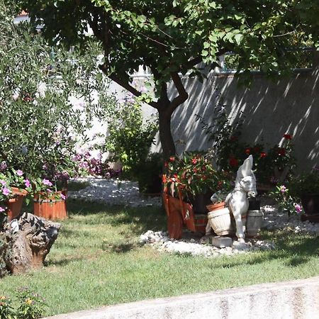 Family Apartment Mirela Borik Zadar Exterior foto